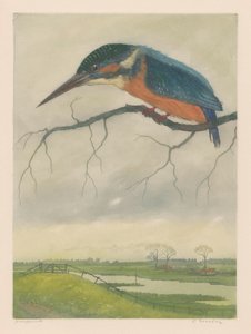 Martín pescador sobre una rama en un paisaje de pradera de Frans Everbag (signed by artist)