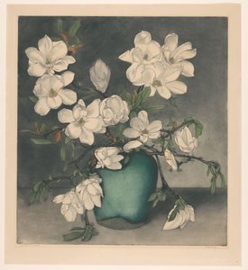 Magnoliatakken de Frans Everbag (signed by artist)