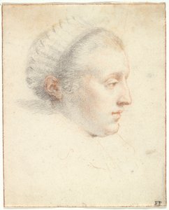 Retrato de perfil de una dama de Frans II Pourbus