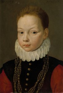 Retrato de un niño de nueve años de Frans I Pourbus