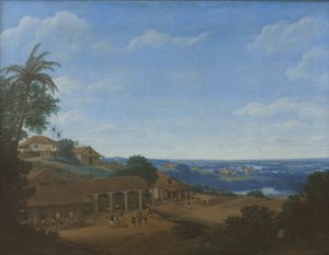 Paisaje en Brasil con plantación de azúcar