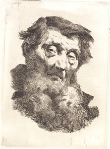 Viejo con barba gris dividida de Frans Schwartz
