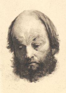 Hombre con barba negra, Garibaldi de Frans Schwartz