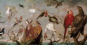 Concierto de pájaros. Pintura de Frans Snyders (Snijders) (1579-1657) siglo XVII Madrid, Museo del Prado de Frans Snyders