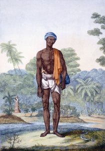 Un cazador de serpientes, de 