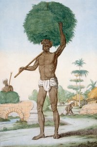 Sirviente hindú cortando hierba, 