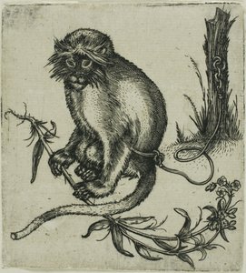 Un mono encadenado de Franz Brun