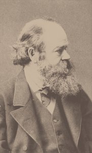 Retrato del compositor Robert von Hornstein de Franz Hanfstaengl