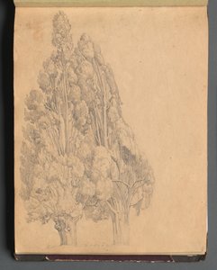 Album with Views of Rome and Surroundings, Landscape Studies, page 13a: Trees de Franz Johann Heinrich Nadorp