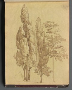 Álbum con vistas de Roma y alrededores, estudios de paisajes, página 15a: Árboles de Franz Johann Heinrich Nadorp