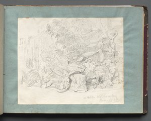 Álbum con vistas de Roma y alrededores, estudios de paisajes, página 24a: En Villa Walkonsky de Franz Johann Heinrich Nadorp
