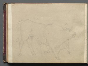 Álbum con vistas de Roma y alrededores, estudios de paisajes, página 51b: Estudio de un toro de Franz Johann Heinrich Nadorp