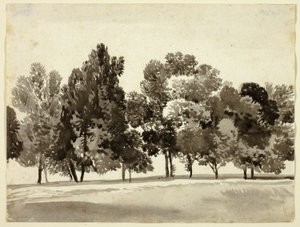 Arboleda de árboles frondosos de Franz Kobell