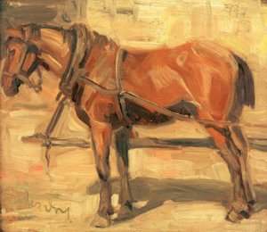 Pequeño estudio de caballos