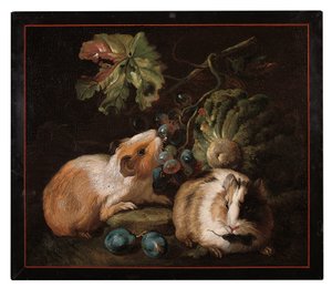 Panel de micromosaico romano que representa dos cobayas comiendo repollo y uvas, 1800-25