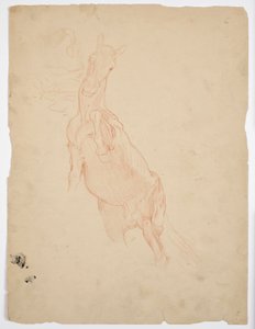 Estudios de un caballo encabritado de Franz von Matsch
