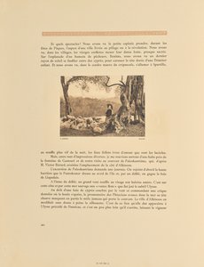 Corfú. Olivar