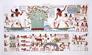 Preparando la comida para los muertos, de un raro registro de frescos de Tebas, registrado entre 1819 y 1822 en su segunda visita a Egipto por Frederic Cailliaud (1787-1869), litografía en color de Frederic (after) Cailliaud