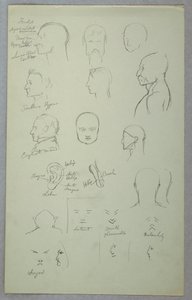 Estudios Anatómicos