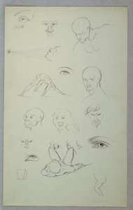 Estudios anatómicos