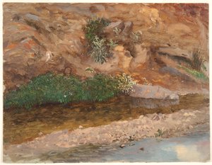Orilla de un arroyo