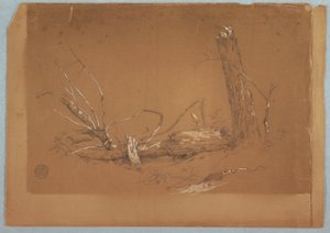 Dibujo, Un árbol muerto roto, 1855-65 de Frederic Edwin Church