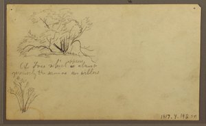 Dibujo, Una cabaña sobre postes, Guayaquil, Ecuador, mayo de 1857 de Frederic Edwin Church