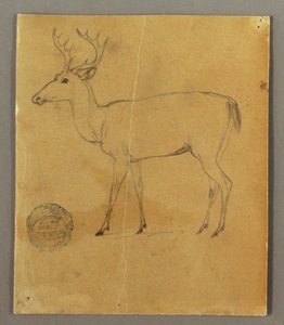Dibujo, Un ciervo de pie, ca. 1850 de Frederic Edwin Church