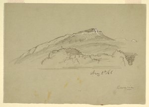 Dibujo, Un árbol, Baviera, 8 de agosto de 1868 de Frederic Edwin Church