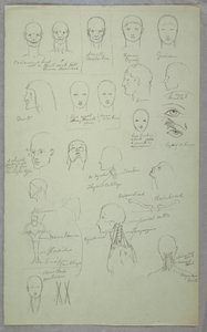 Dibujo, Estudios anatómicos, 1865-70 de Frederic Edwin Church