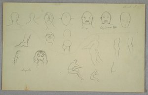 Dibujo, Estudios anatómicos, 1865-70 de Frederic Edwin Church