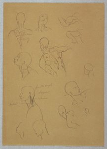 Dibujo, Estudios anatómicos, 1865-70 de Frederic Edwin Church