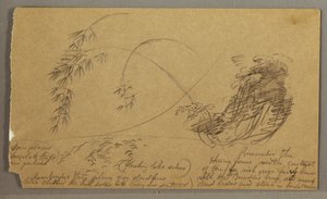 Dibujo, Ramitas de bambú, posiblemente 1865-66 de Frederic Edwin Church