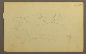 Dibujo, Base de un árbol, cantos rodados, 1844 de Frederic Edwin Church