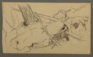 Dibujo, Base de árbol, peñasco, posiblemente 1877