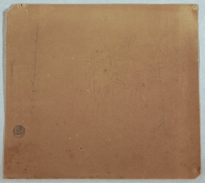 Dibujo, Bocetos botánicos, Posiblemente bambúes, palmeras y arbustos, Ecuador o Colombia, 1853 o 1857