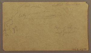 Dibujo, Bocetos botánicos; Verso: Nubes, julio de 1865 de Frederic Edwin Church