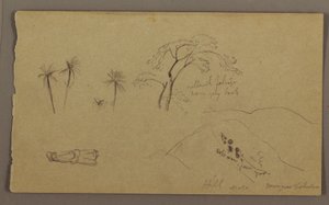 Dibujo, bocetos botánicos, figura, mayo-agosto de 1865 de Frederic Edwin Church