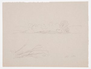 Dibujo, Bocetos botánicos: paisaje, árboles en una orilla, septiembre de 1876 de Frederic Edwin Church