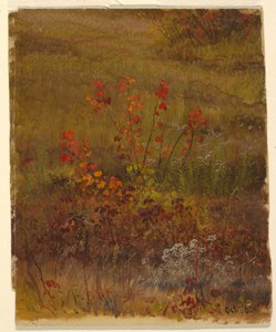 Dibujo, Estudios botánicos, octubre de 1865 de Frederic Edwin Church