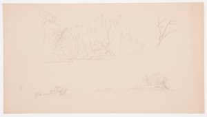 Dibujo, Bocetos botánicos: árbol, árboles en la orilla, septiembre de 1876 de Frederic Edwin Church