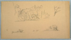 Dibujo, Bocetos botánicos: árbol, árboles en la orilla, septiembre de 1876