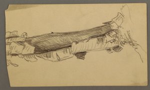 Dibujo, Sección inferior de un tronco de árbol muerto, 1877 de Frederic Edwin Church