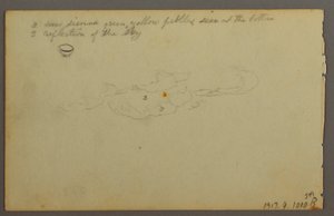 Dibujo, Rocas entre árboles, 1844 de Frederic Edwin Church