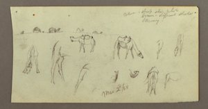 Dibujo, Estudios sobre camellos, 2 de marzo de 1868