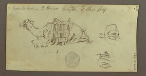Dibujo, Estudios sobre camellos, 2 de marzo de 1868 de Frederic Edwin Church