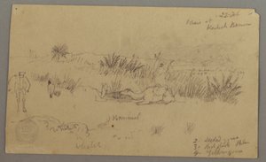 Dibujo, Camellos bebiendo en una colina, 22 de febrero, posiblemente 1868 de Frederic Edwin Church