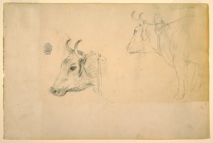Dibujo, Ganado, septiembre de 1844