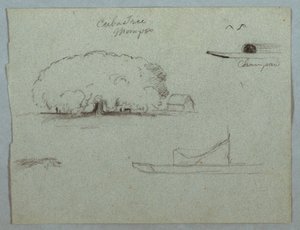 Dibujo, Árbol de Ceiba en Mompos, Canoa Champan, Árboles, y un Barco Parcial, Río Magdalena, Colombia, 1853, probablemente Mayo de Frederic Edwin Church