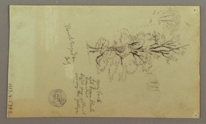 Dibujo, Chimeneas, Cascadas, Figura, etc., Julio posiblemente 1868 de Frederic Edwin Church